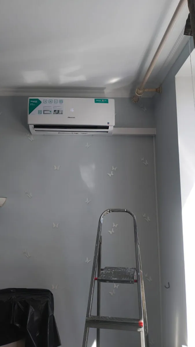 Hisense MN-61293