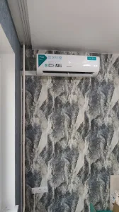 Hisense M
                                        Z
                    -67151