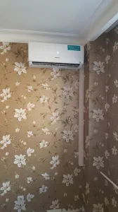 Hisense MZ-61296