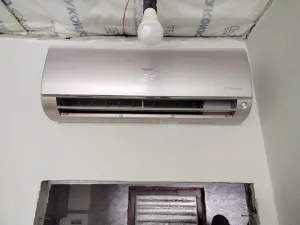 Haier MZ-62393